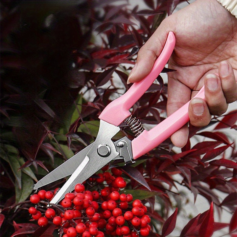 กรรไกรตัดดอกไม้ 2 ชิ้น (สีชมพู - Pinking Shear Blade บทวิจารณ์และราคา
